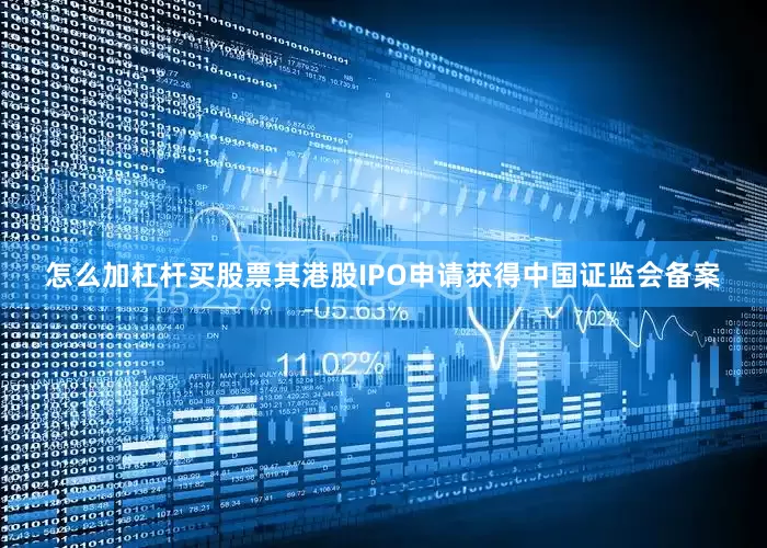 怎么加杠杆买股票其港股IPO申请获得中国证监会备案