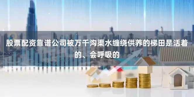 股票配资靠谱公司被万千沟渠水缠绕供养的梯田是活着的、会呼吸的